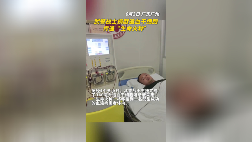马会传真—澳门传真,缅甸地震已致1700人死亡,最新核心解答落实_创意版V3.83