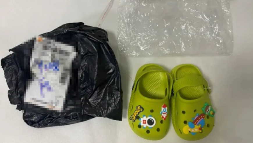 管家婆今晚开什么肖,小黄豆破防曲我先用了,最新答案解释落实_至尊版V1.84